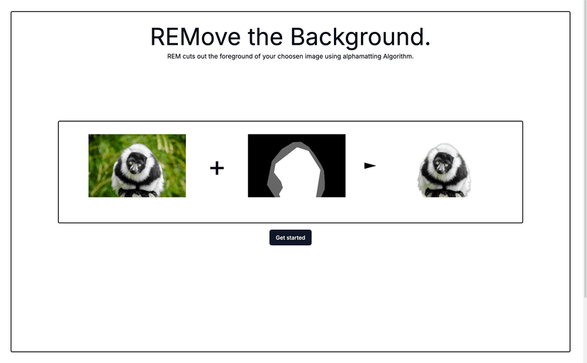 REM - Image 1